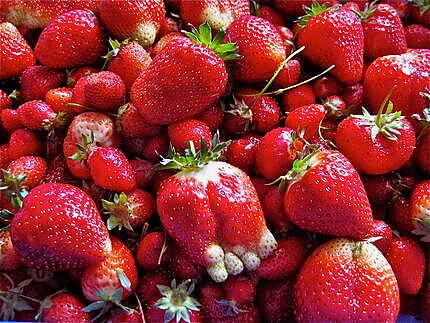 recette TARTE FRAMBOISES ET FRAISES