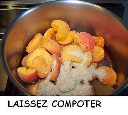 recette Mousse aux abricots