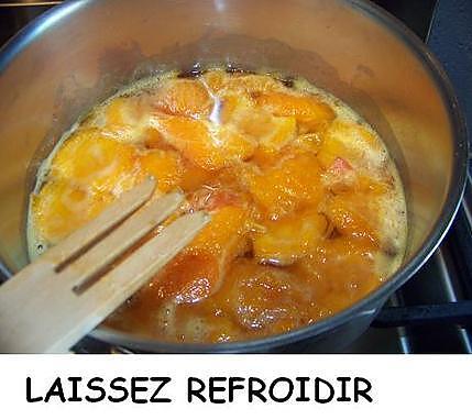recette Mousse aux abricots