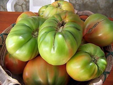 recette Marmelade de tomates vertes aux épices