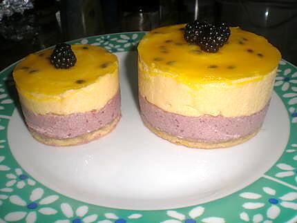 recette Bavarois Murs,Mangue miroire passion