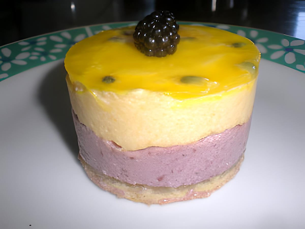 recette Bavarois Murs,Mangue miroire passion