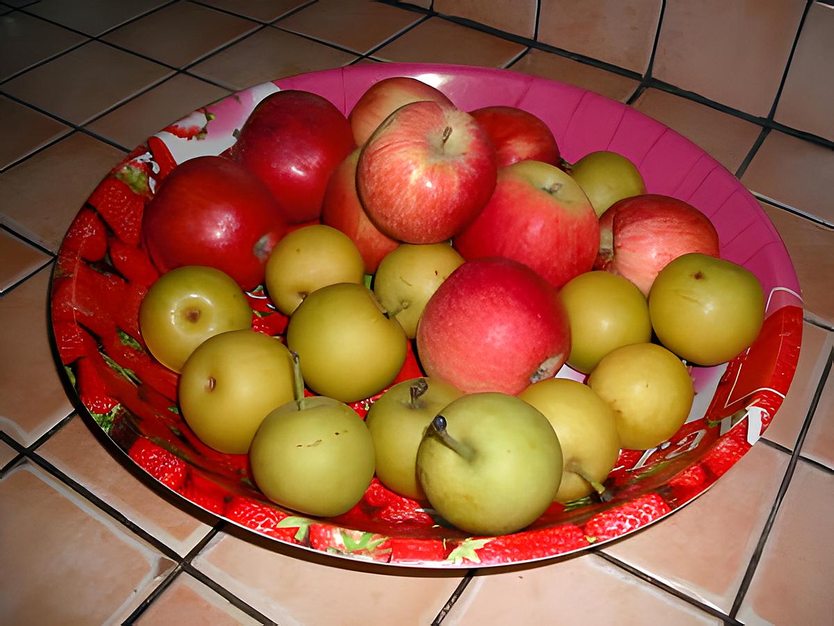recette Gelée de pommes