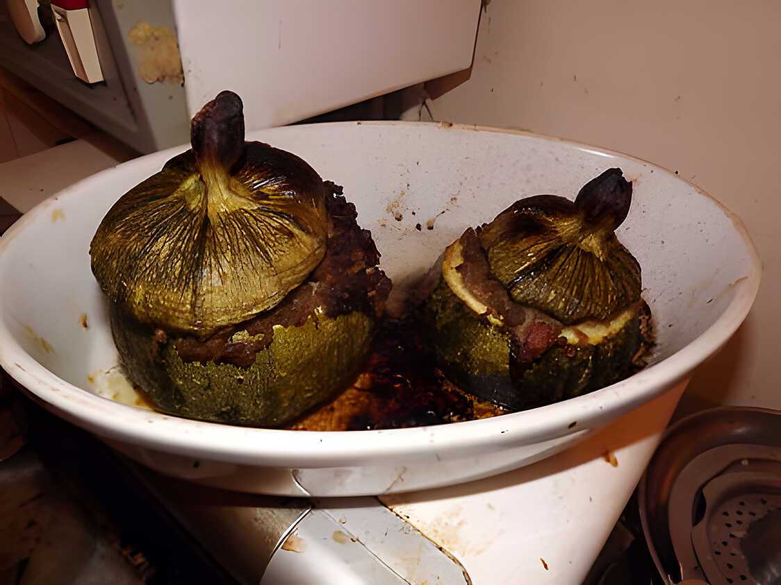 Recette de Courgettes rondes farcies reste de viande et poulets