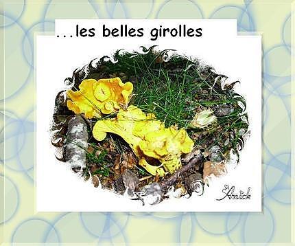 recette Omelette aux girolles