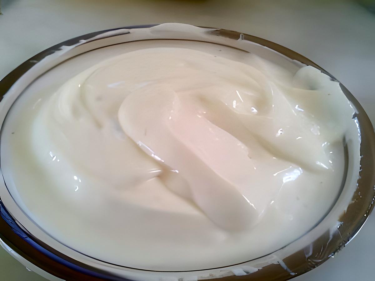 recette mayonnaise sans oeufs: