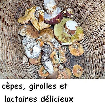 recette Roti de veau aux artichauts et  assortiment de champignons des bois