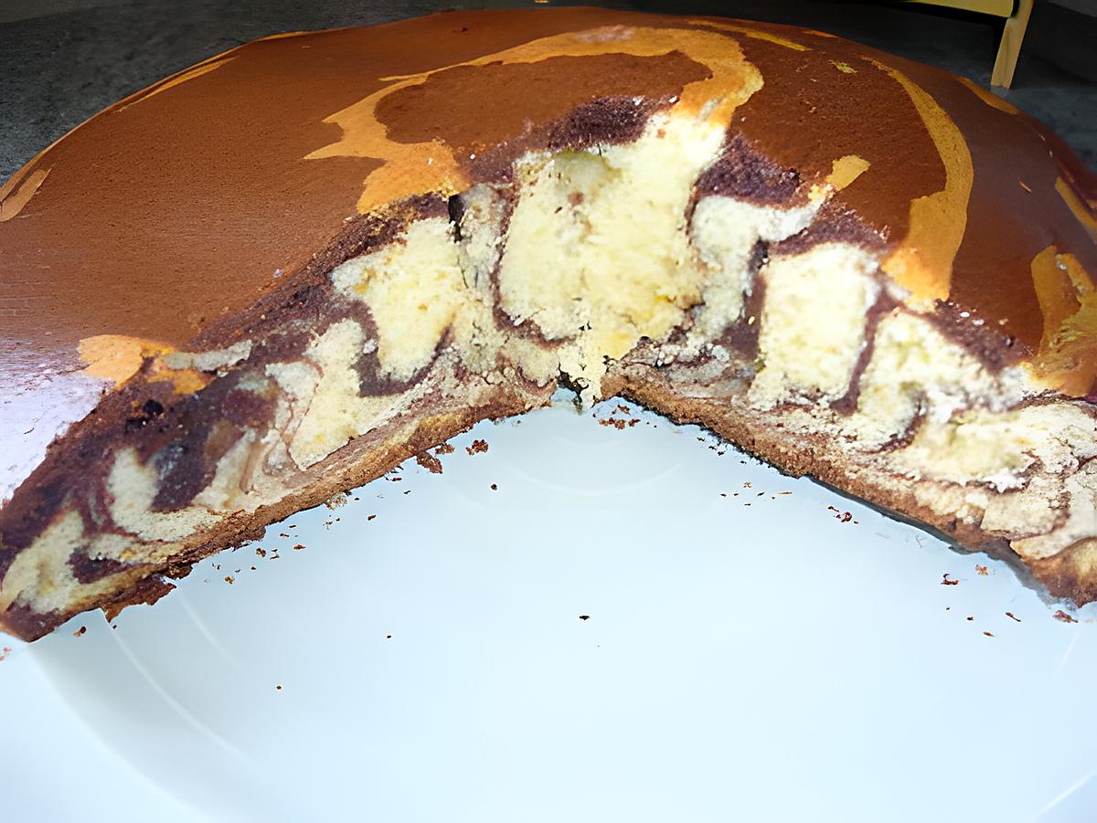 recette Gâteau marbré (avec lait concentré)