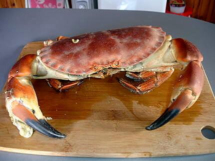 recette crabe à la mayonnaise avec de l avocat et tomate
