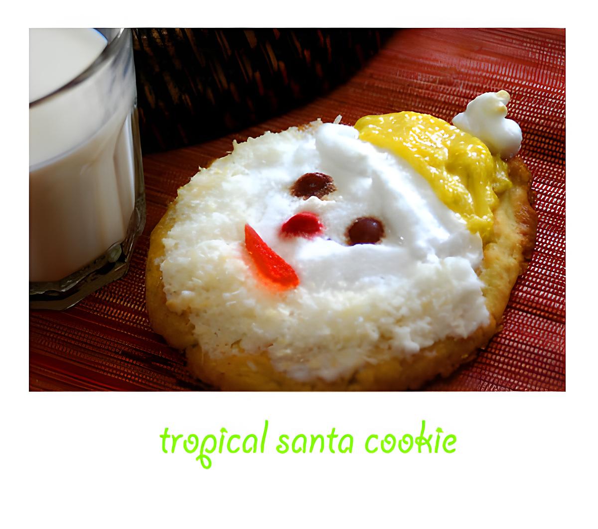 recette Gâteau Père Noël Tropical