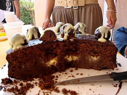 recette gateau aux truffes pour l anniversaire de theo