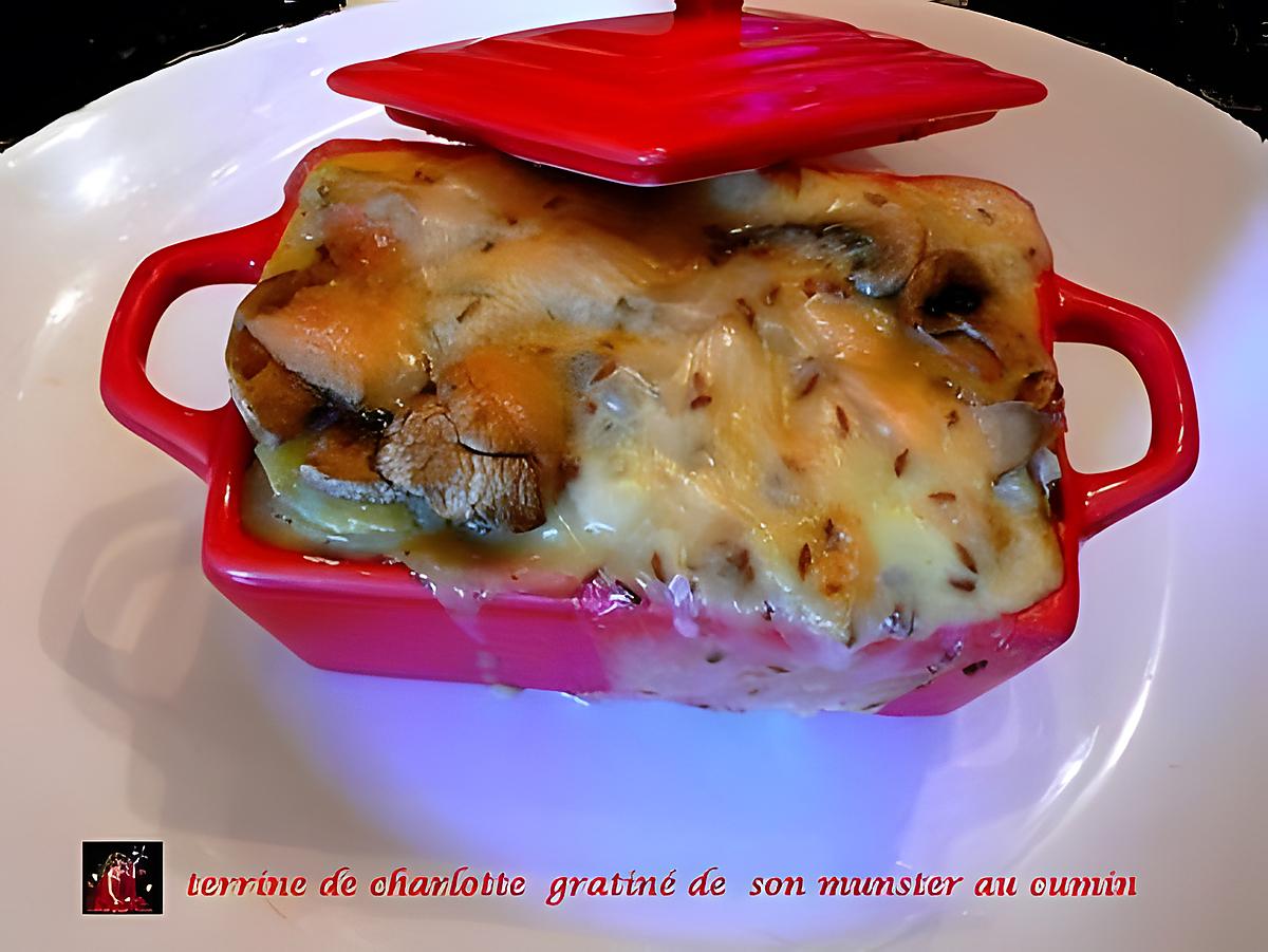 recette terrine charlotte gratiné de son munster au cumin