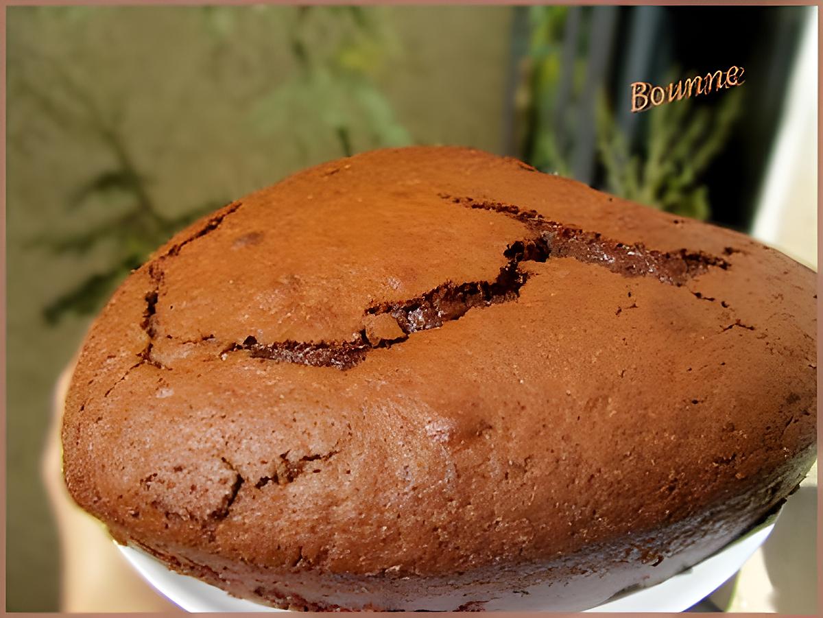 recette Gâteau à la Danette