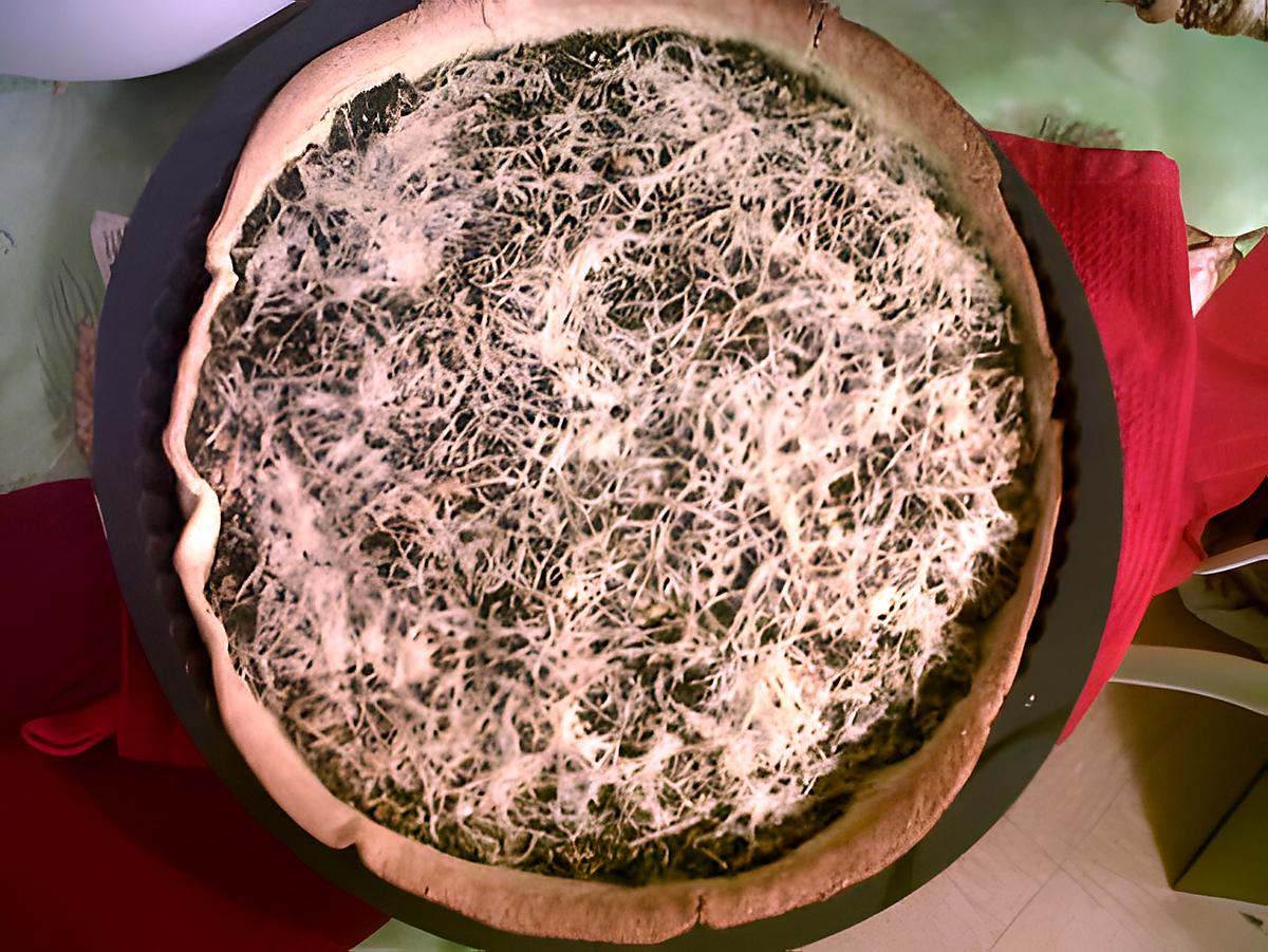 recette Sans prise de tête...une tarte avec les restes de saumon épinard et ricotta que j'avais fais en trop!!!