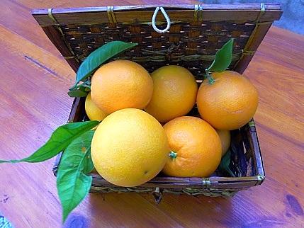 recette Confiture d’oranges