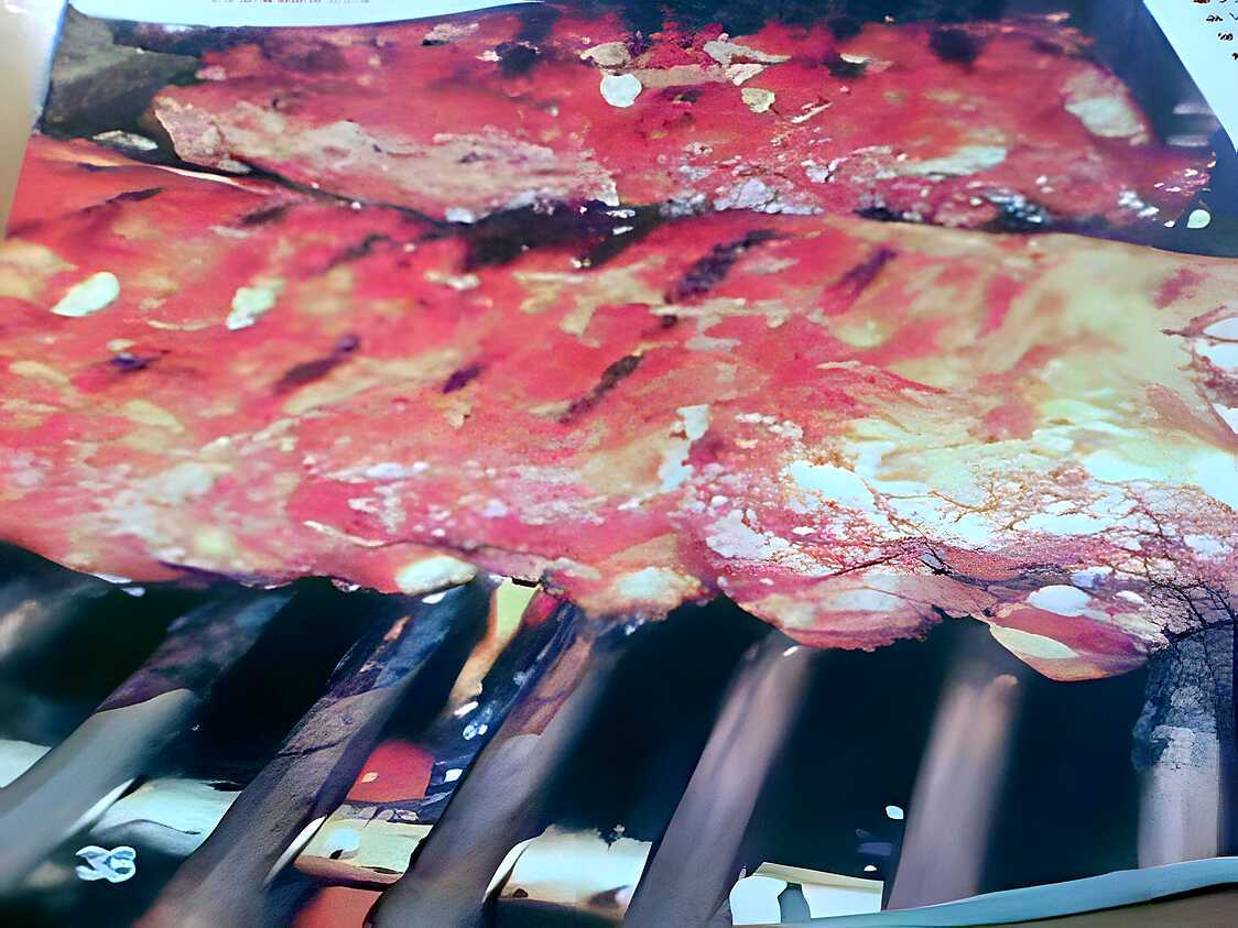 Recette de Marinade pour travers de porc!