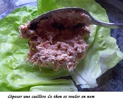 recette 2 salades : Nems de salade au thon  et endives au thon