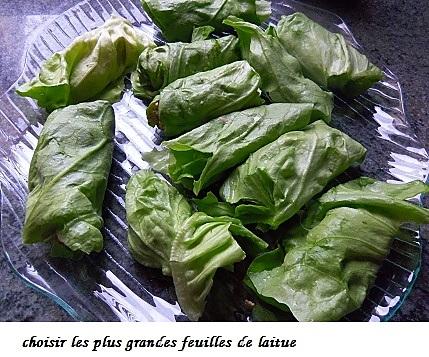 recette 2 salades : Nems de salade au thon  et endives au thon