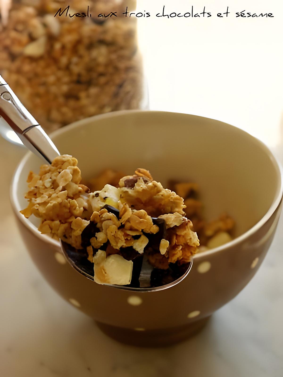 recette Muesli aux trois chocolats et Sésame