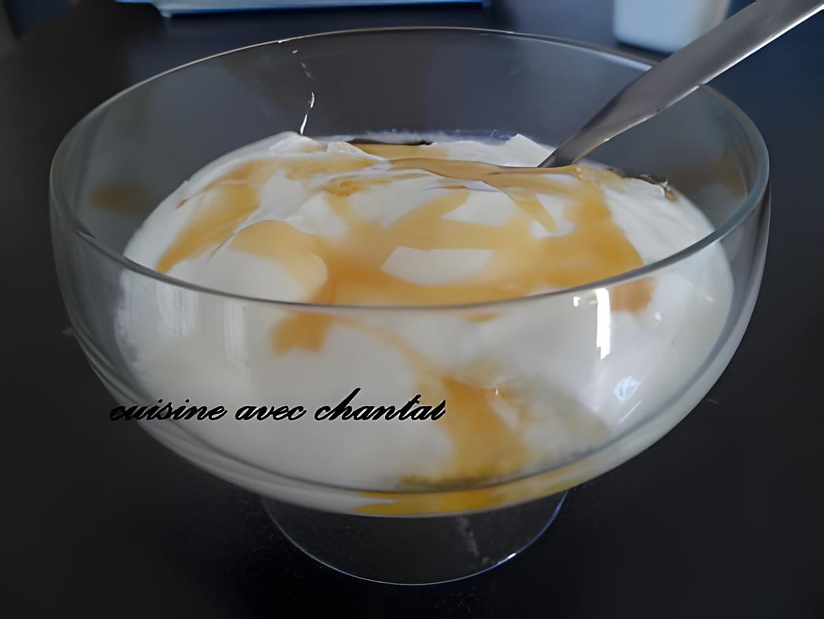 recette yaourt nature à la yaoutière