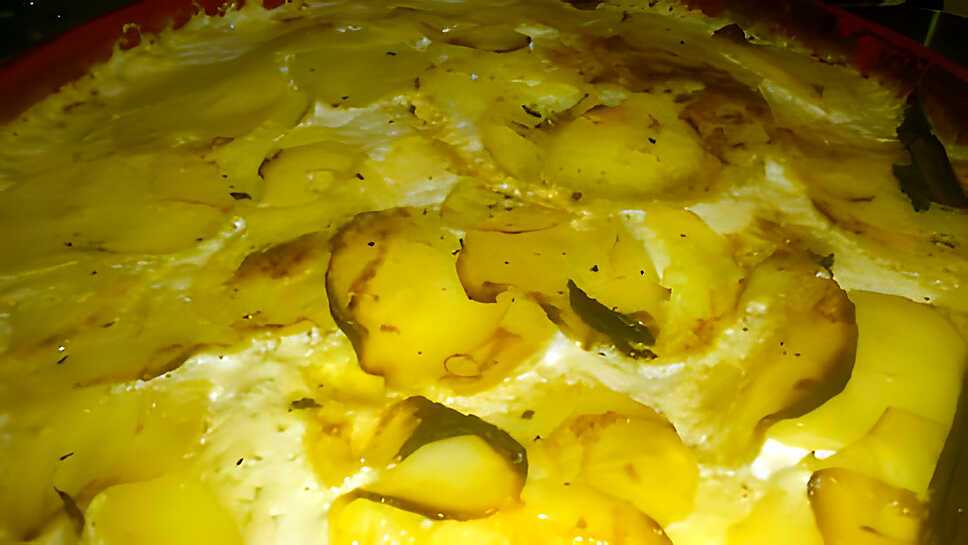 recette Gratin dauphinois à la crème de bleu :P