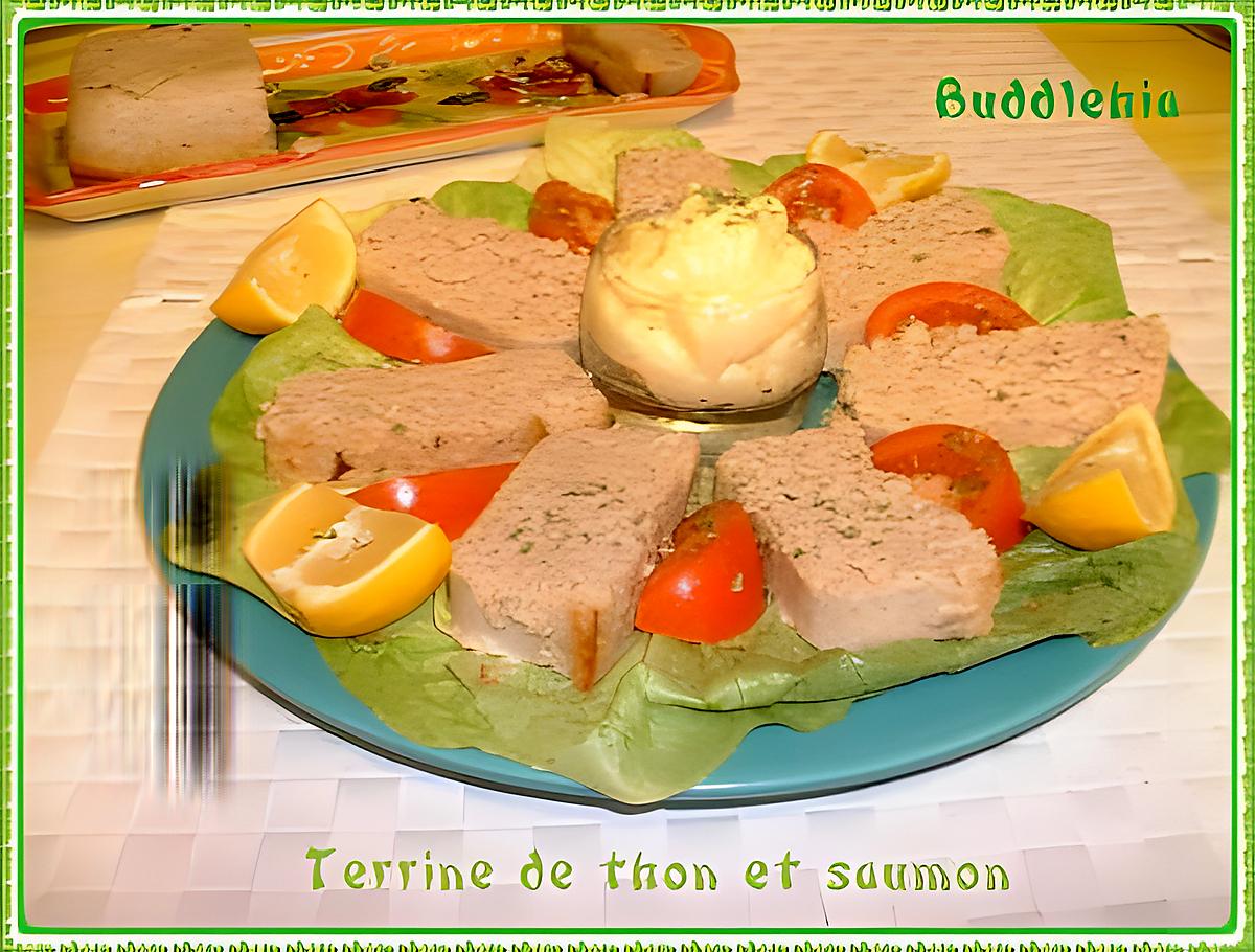 recette Terrine de thon et saumon