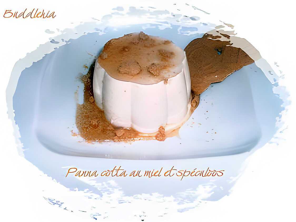 Panna cotta au miel et spéculoos