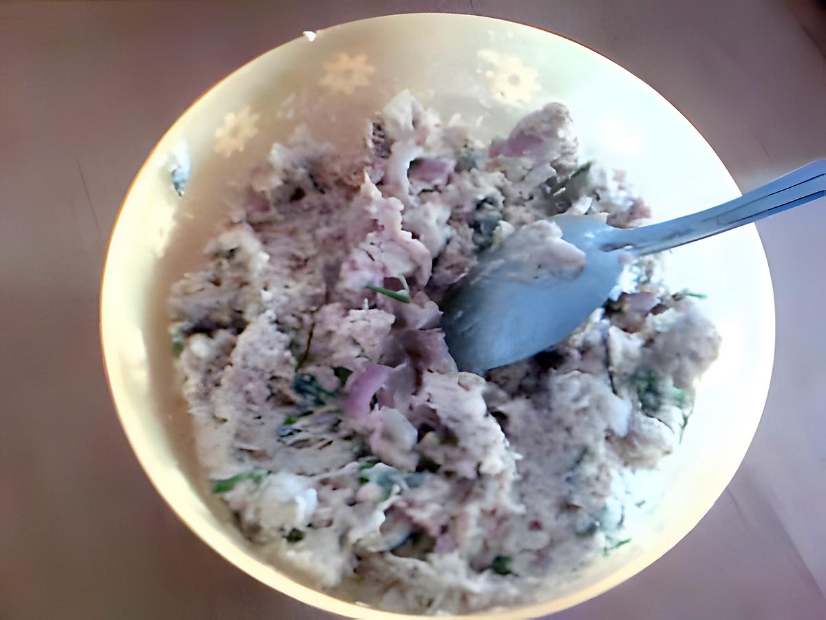 recette Rillettes de thon!!