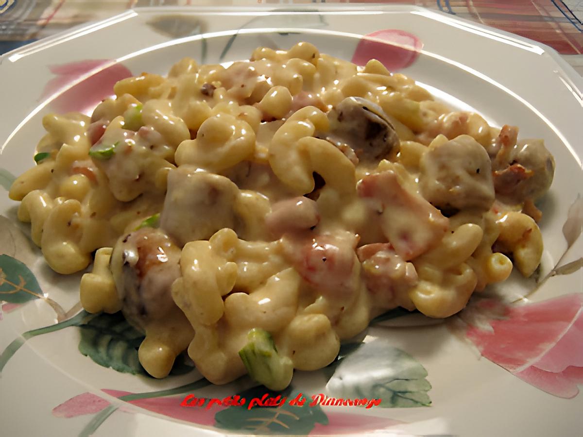 recette Macaroni aux 2 fromages et aux 2 viandes