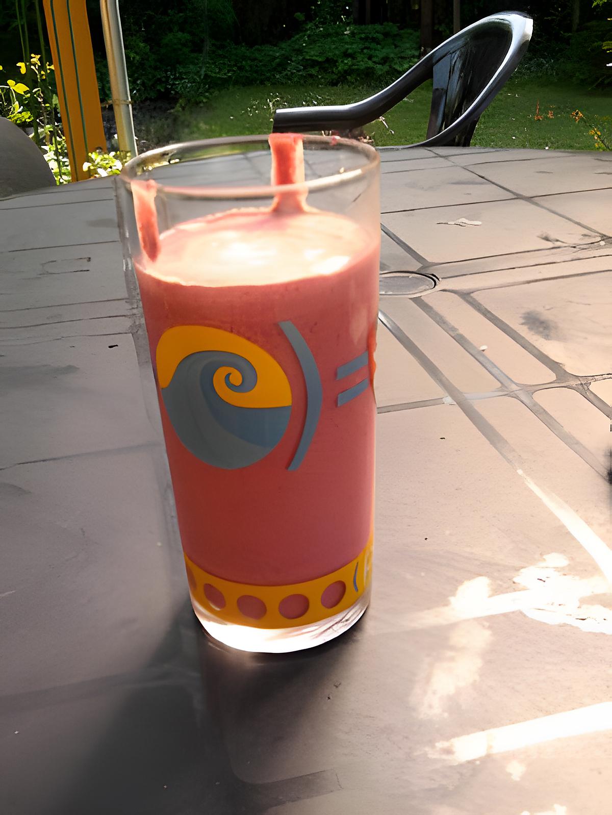 recette smoothie glacé aux fruits rouge smoothie maker