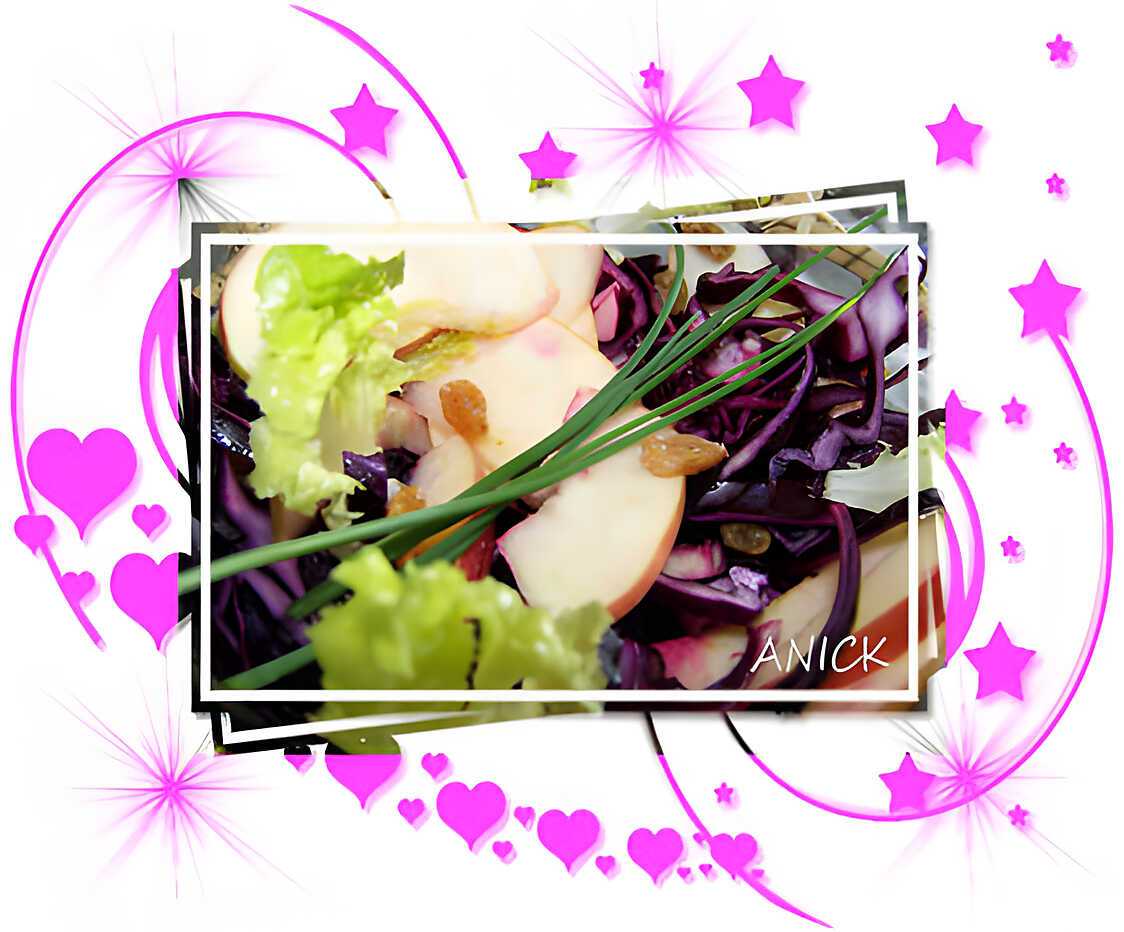 Salade de chou rouge cru , pomme verte et raisins