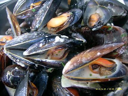 recette moules au roquefort