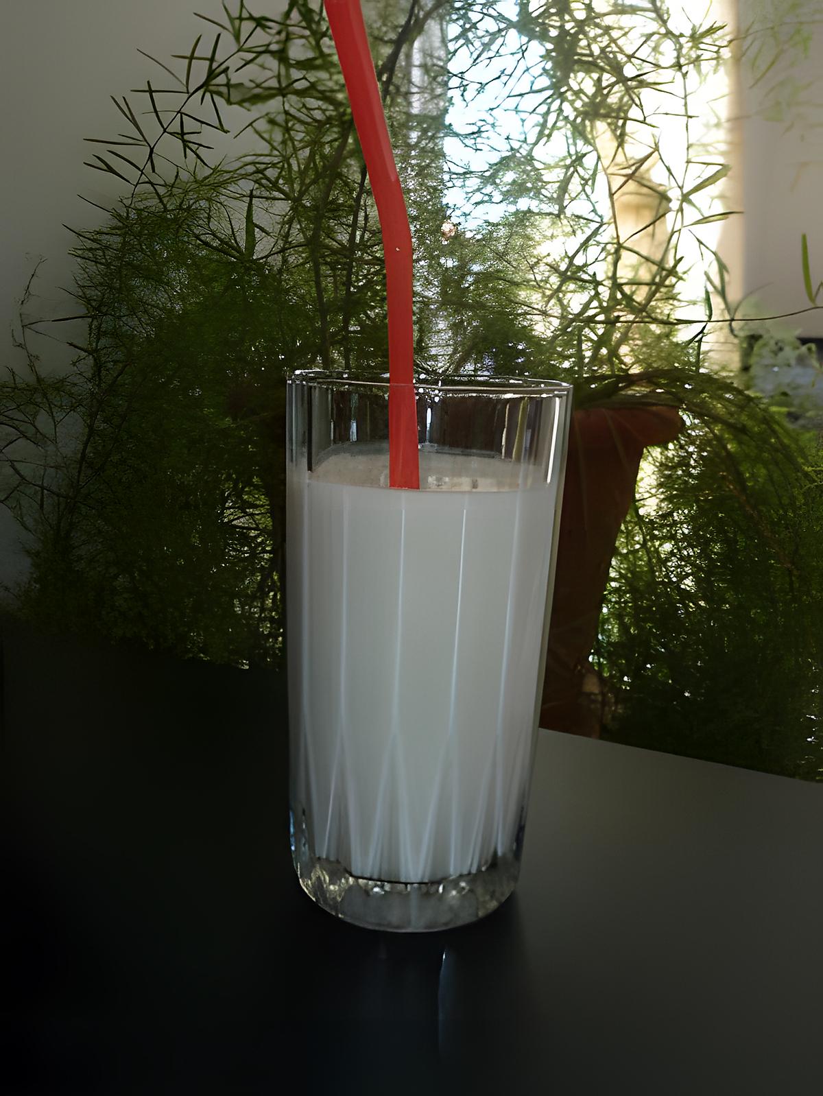 recette Milk-shakes à la banane ;)