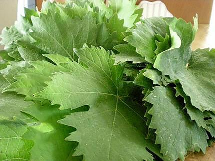 recette Dolmades - Feuilles de vigne farcies