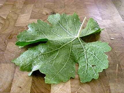 recette Dolmades - Feuilles de vigne farcies