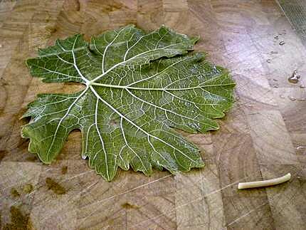 recette Dolmades - Feuilles de vigne farcies