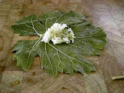 recette Dolmades - Feuilles de vigne farcies