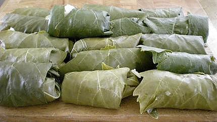 recette Dolmades - Feuilles de vigne farcies