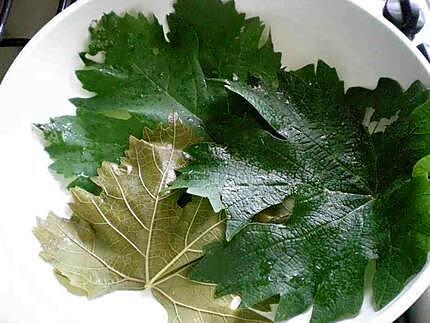 recette Dolmades - Feuilles de vigne farcies