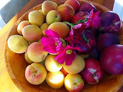 recette Confiture de nectarines et abricots aux amandons