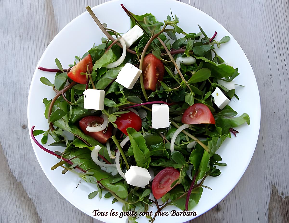 recette Salade de pourpier