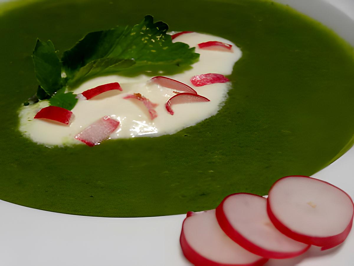 recette soupe de fanes de radis au chèvre