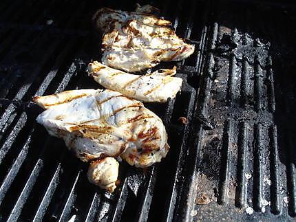 recette salade  de poulet  grillé