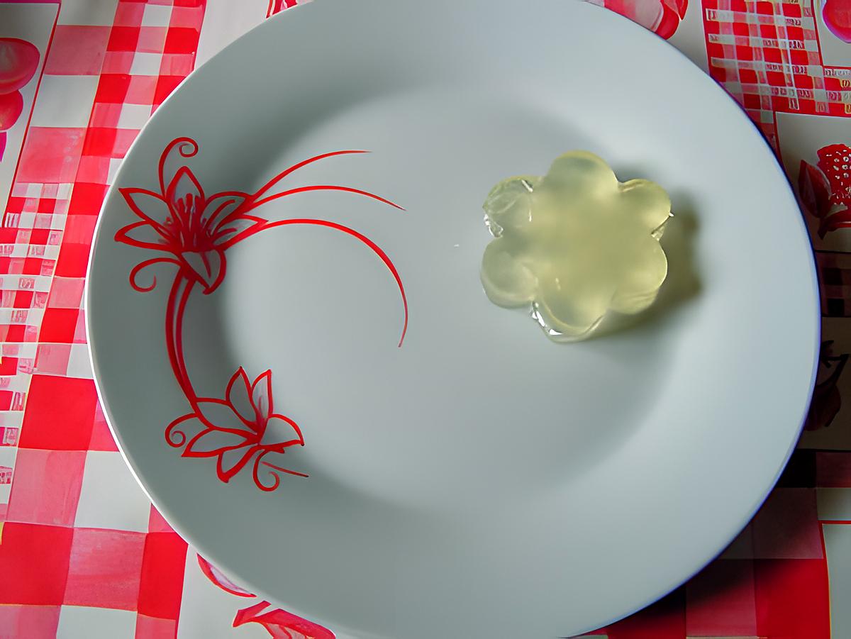 recette Gelée de fruit à Agar-agar