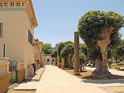 recette COUSCOUS D'HIVER DE CHERCHELL