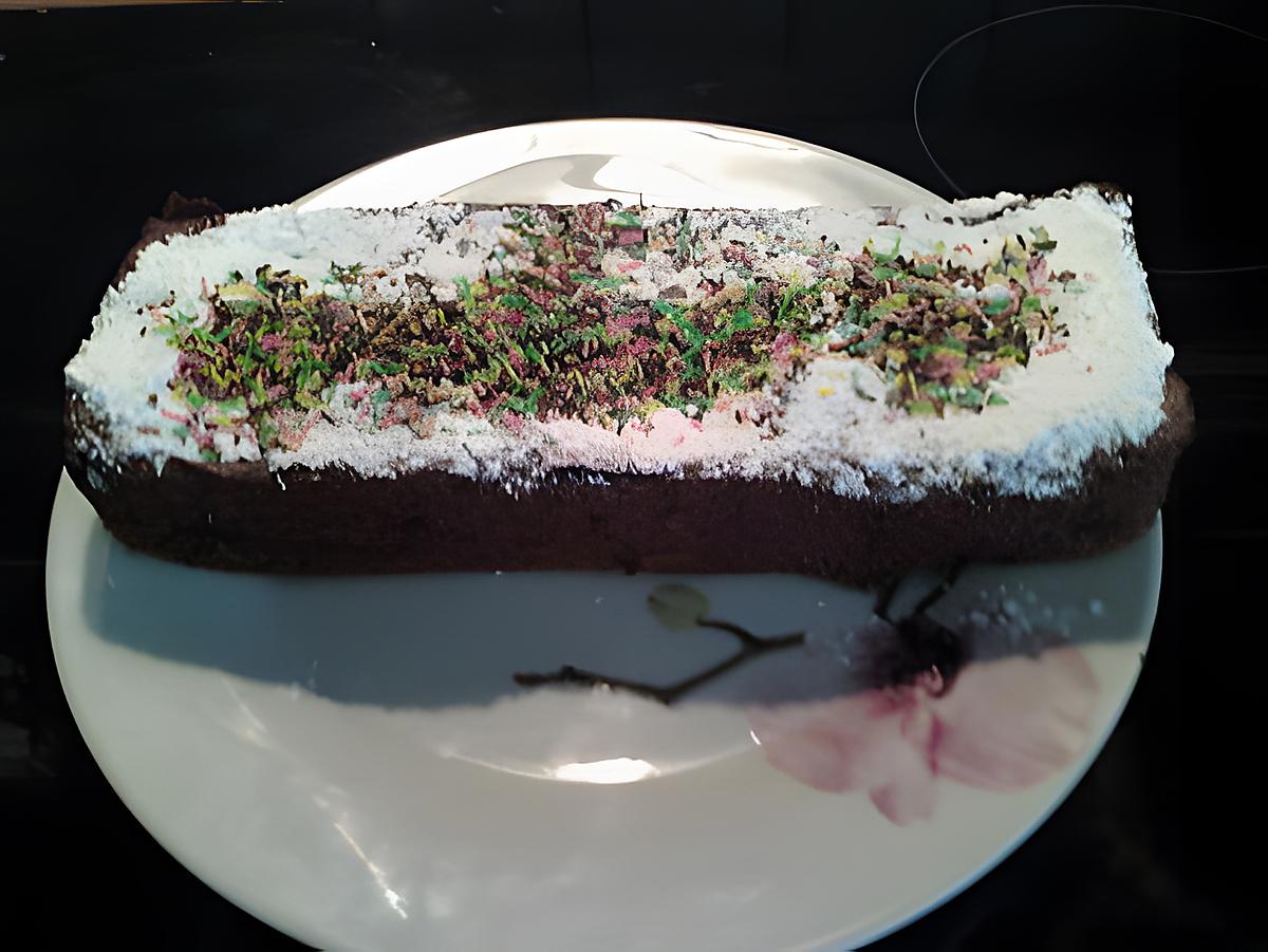 recette Gâteau chocolat-ricotta