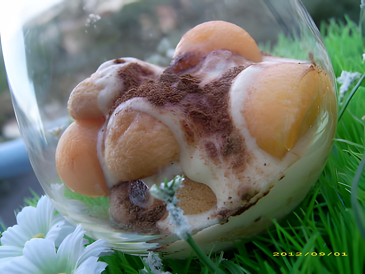 recette tiramisu aux billes de melon