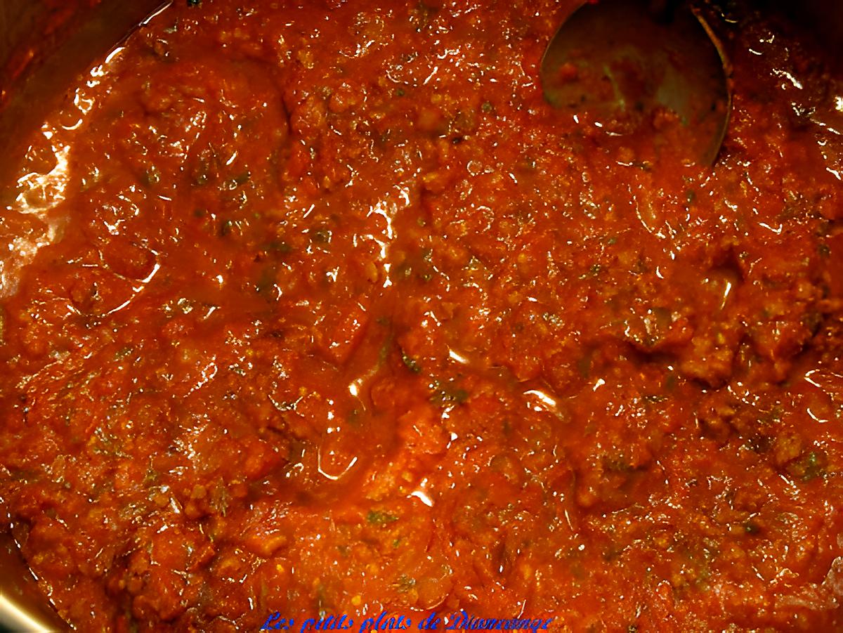 recette Sauce tomate et coriandre de Kat