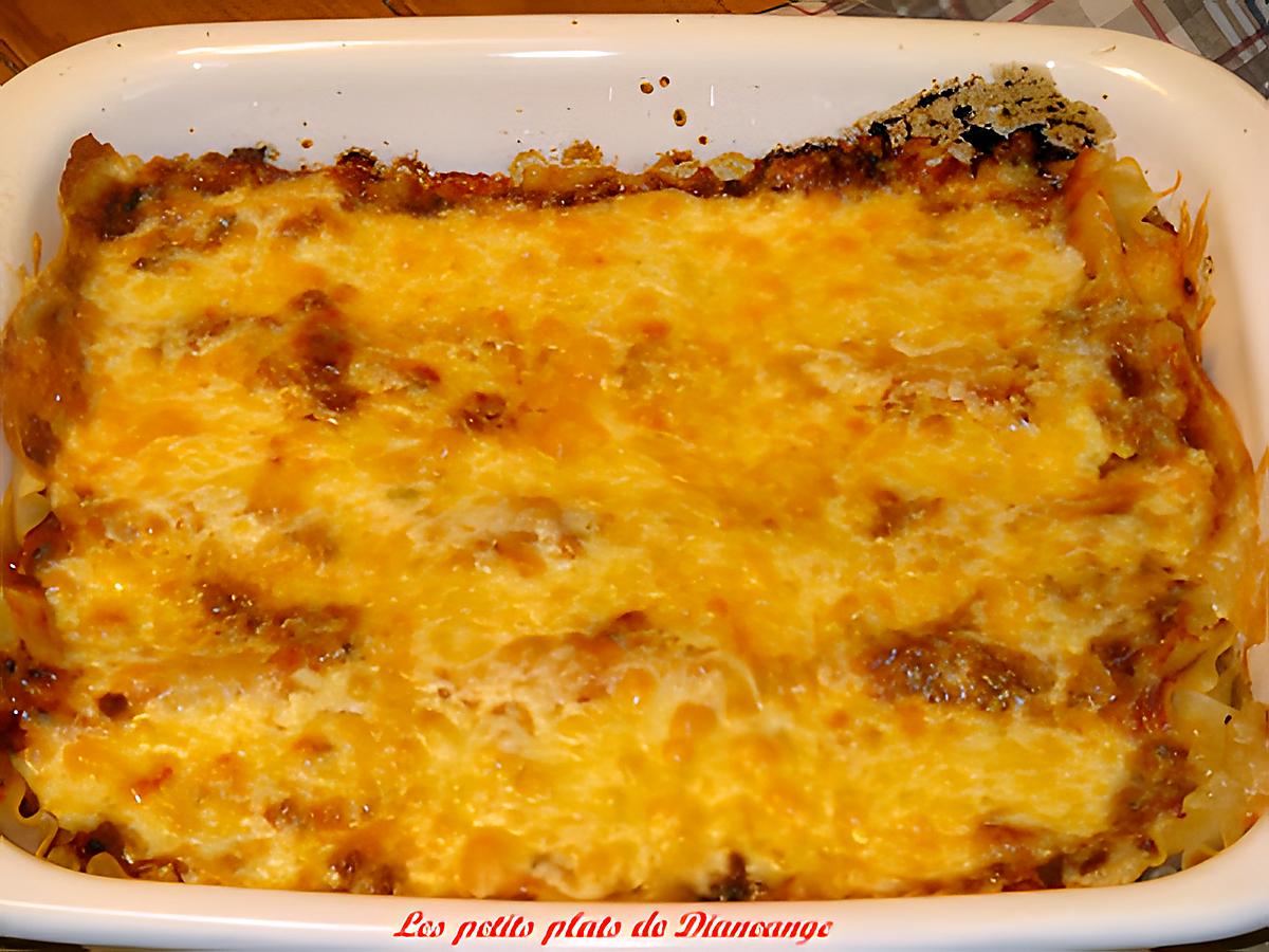 recette Lasagne sauce tomate et coriandre de Kat