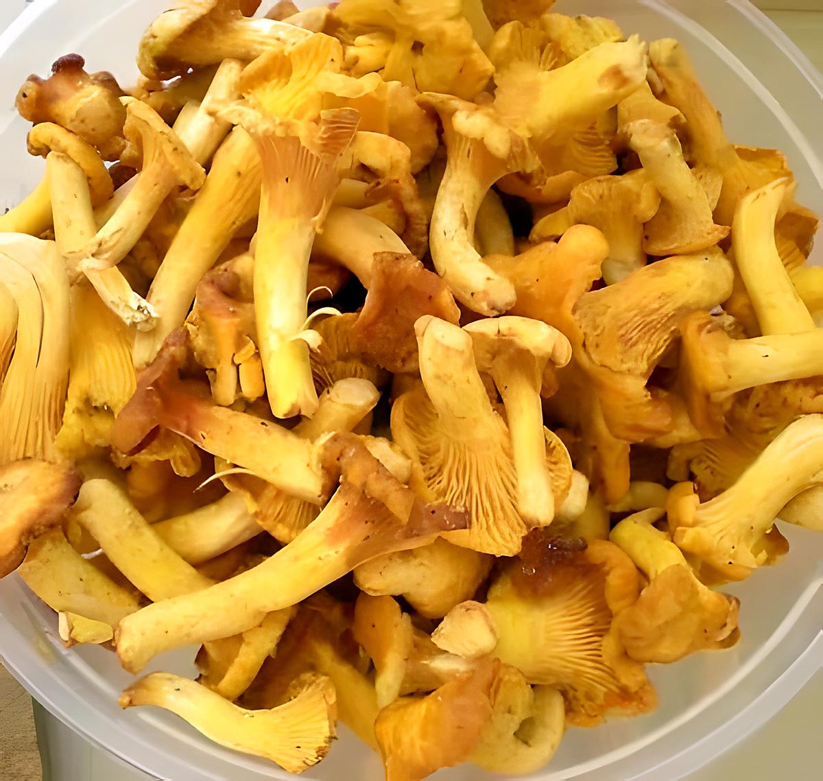 recette Chanterelles ou Girolles, deux recettes, une crue et une cuite.